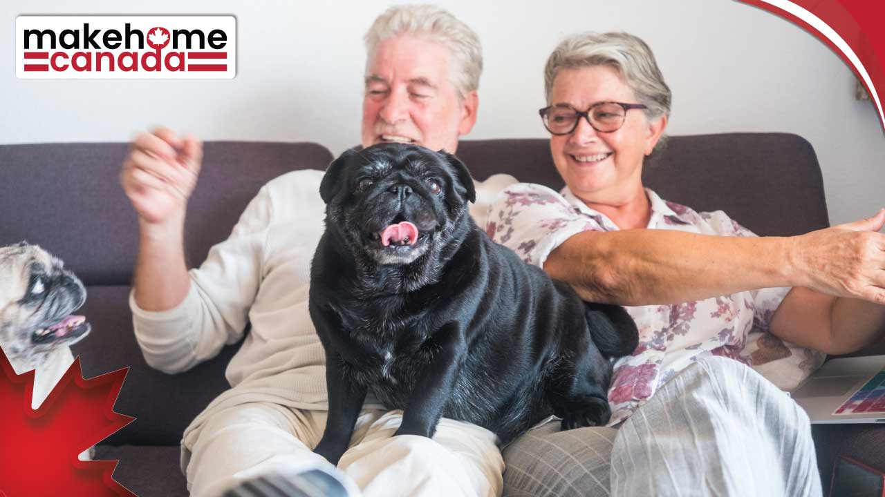 Moving pets to Canada for assessing the process